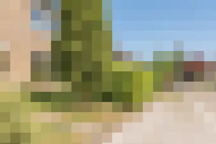 't Zuden 103 Leek thumbnail 25