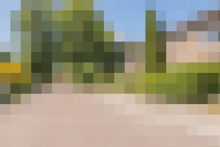 't Zuden 103 Leek thumbnail 26