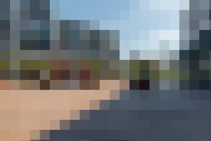 't Zuden 103 Leek thumbnail 27