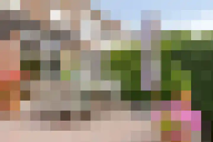 't Zuden 103 Leek foto 3