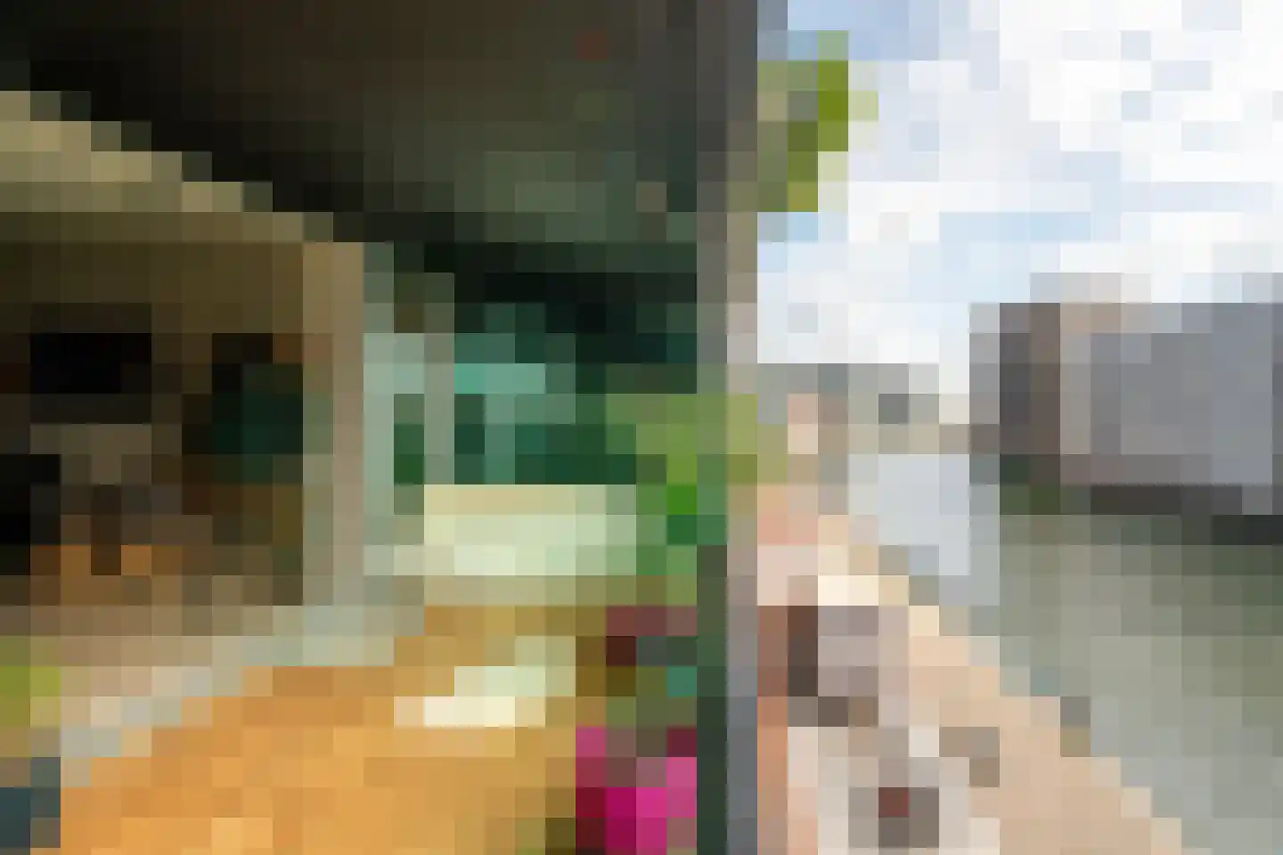 't Zuden 103 Leek thumbnail 30