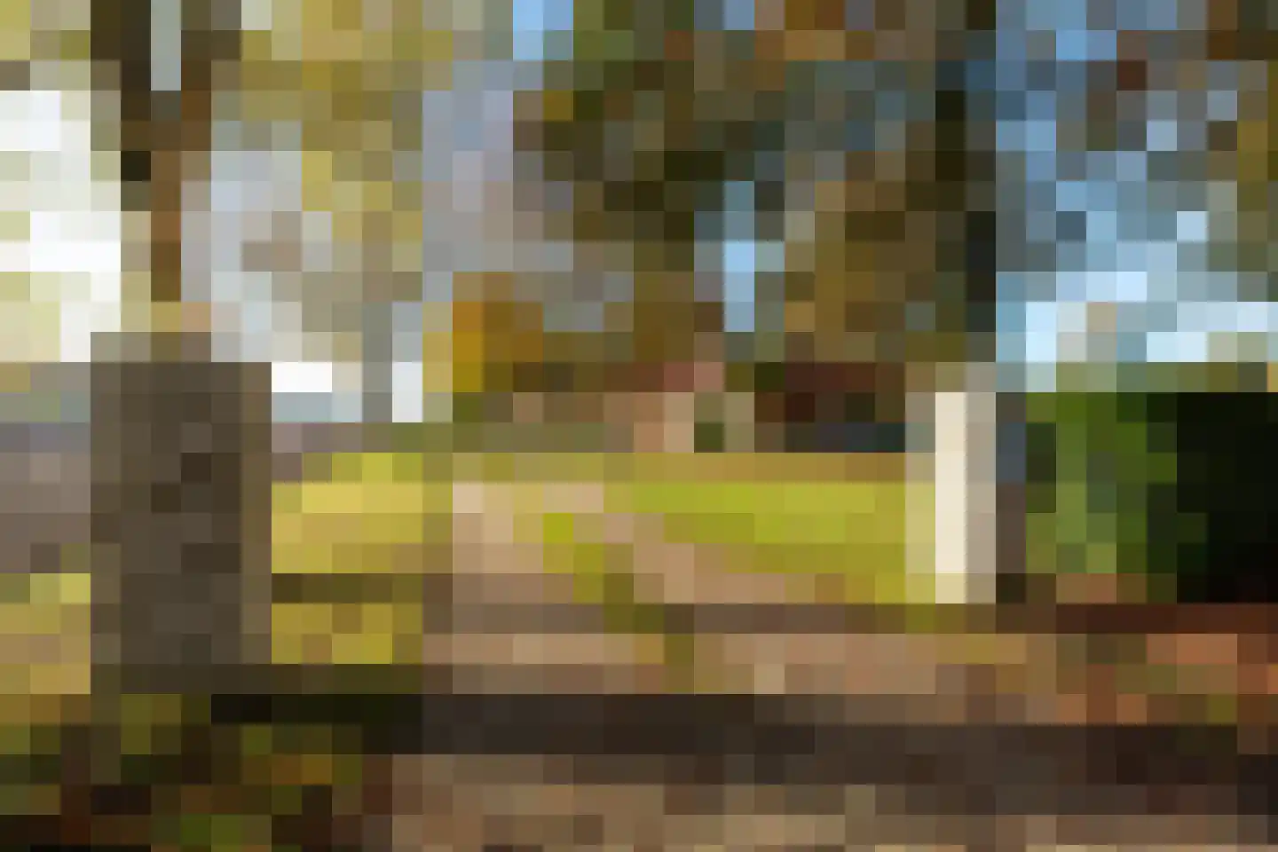 't Zuden 103 Leek thumbnail 31