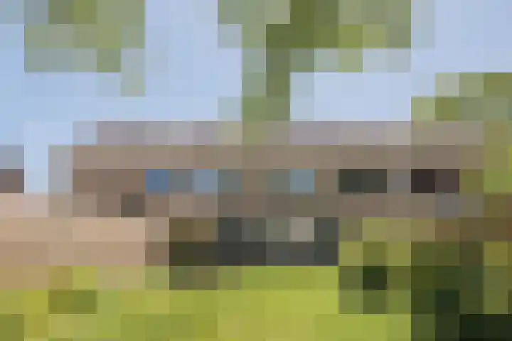 't Zuden 103 Leek thumbnail 31