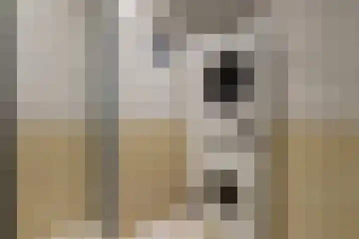 't Zuden 103 Leek thumbnail 4