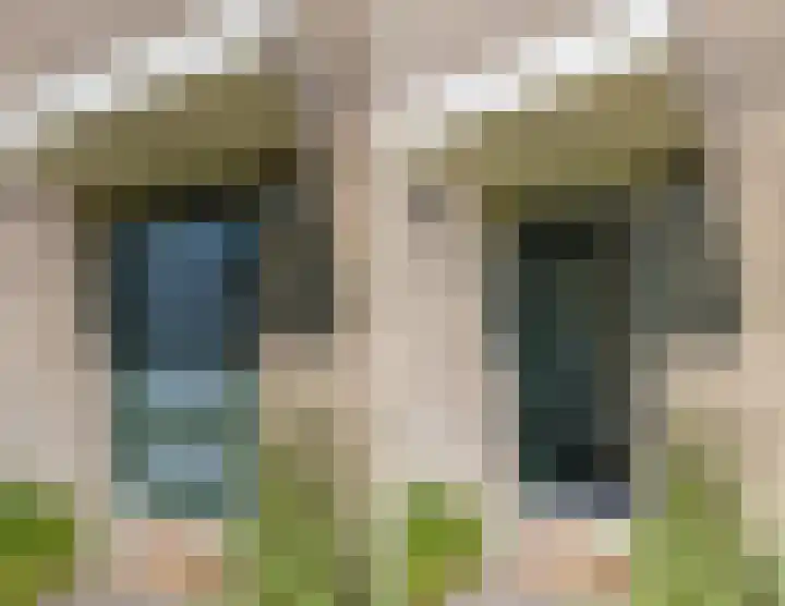 't Zuden 103 Leek thumbnail 4