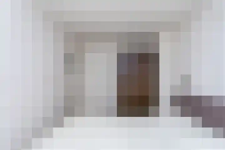 't Zuden 103 Leek thumbnail 5