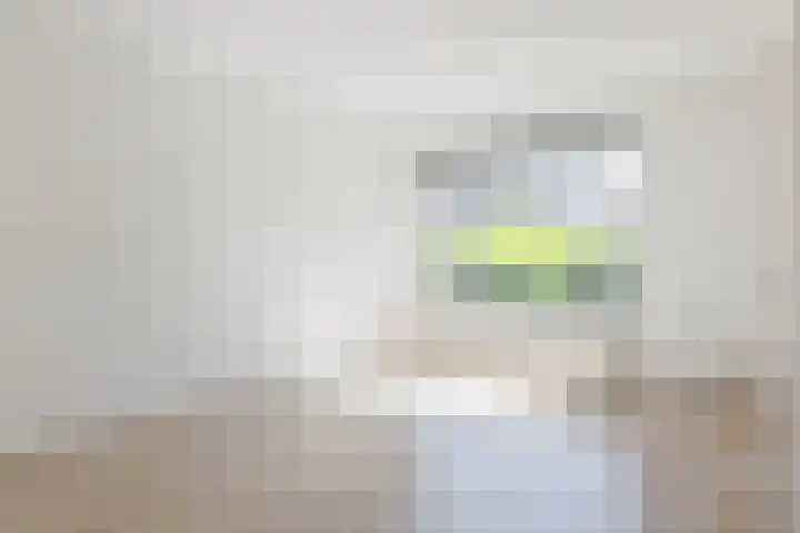 't Zuden 103 Leek thumbnail 7