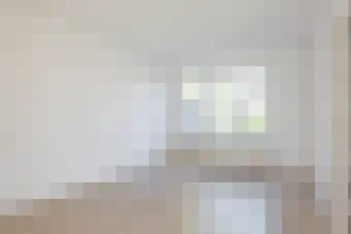 't Zuden 103 Leek thumbnail 8