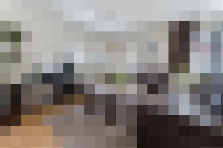 't Zuden 103 Leek thumbnail 9