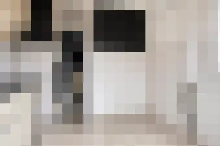 't Zuden 24 Leek thumbnail 10