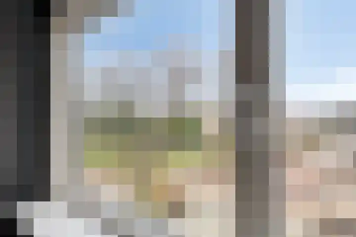 't Zuden 24 Leek thumbnail 14