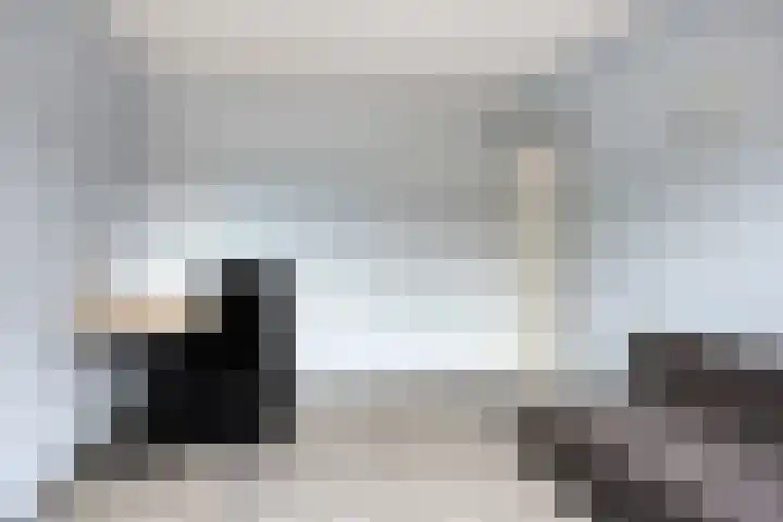 't Zuden 24 Leek thumbnail 17