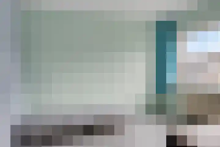 't Zuden 24 Leek thumbnail 18