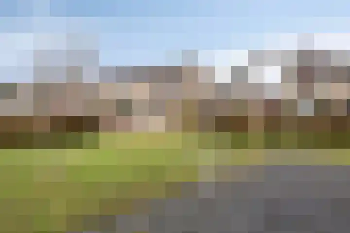 't Zuden 24 Leek foto 2