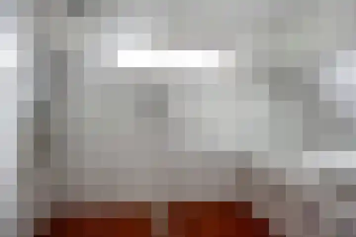 't Zuden 24 Leek thumbnail 22