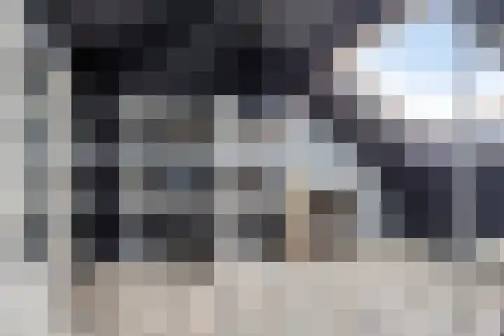 't Zuden 24 Leek thumbnail 24