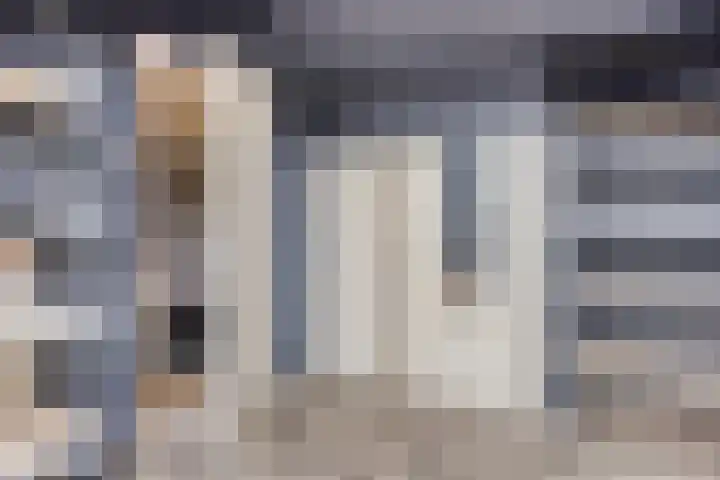 't Zuden 24 Leek thumbnail 25