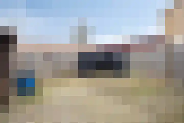 't Zuden 24 Leek thumbnail 26