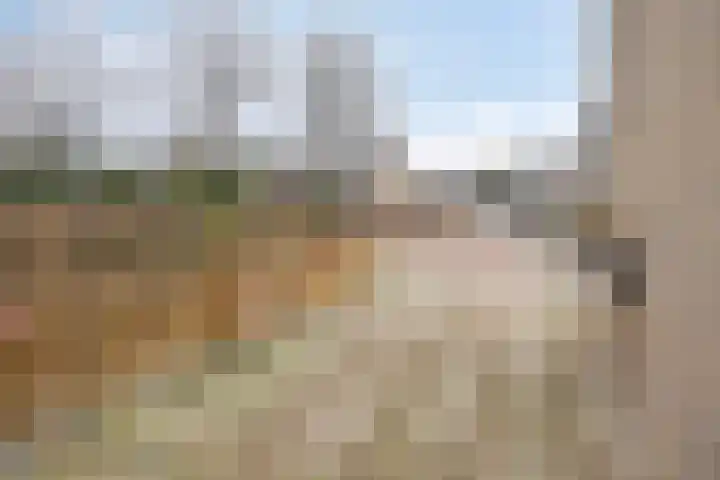 't Zuden 24 Leek thumbnail 32