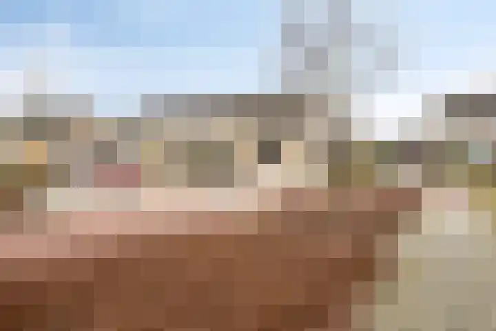 't Zuden 24 Leek thumbnail 33