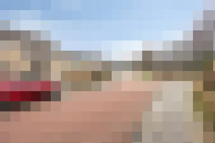 't Zuden 24 Leek thumbnail 35