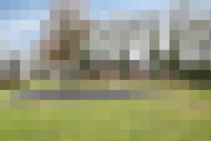 't Zuden 24 Leek thumbnail 37
