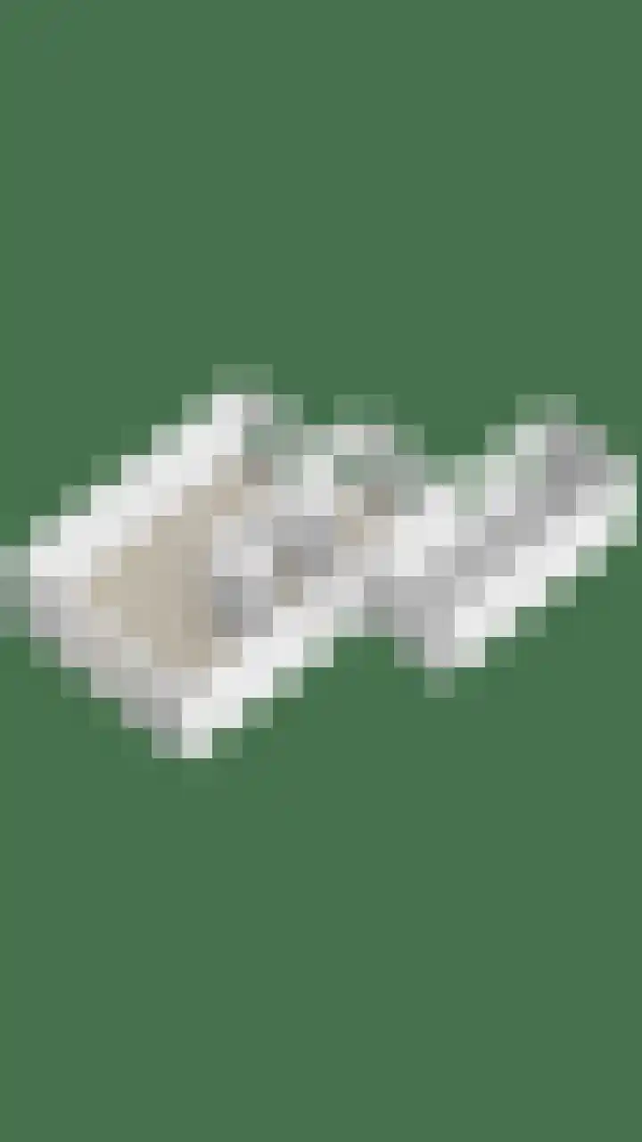 't Zuden 24 Leek thumbnail 43