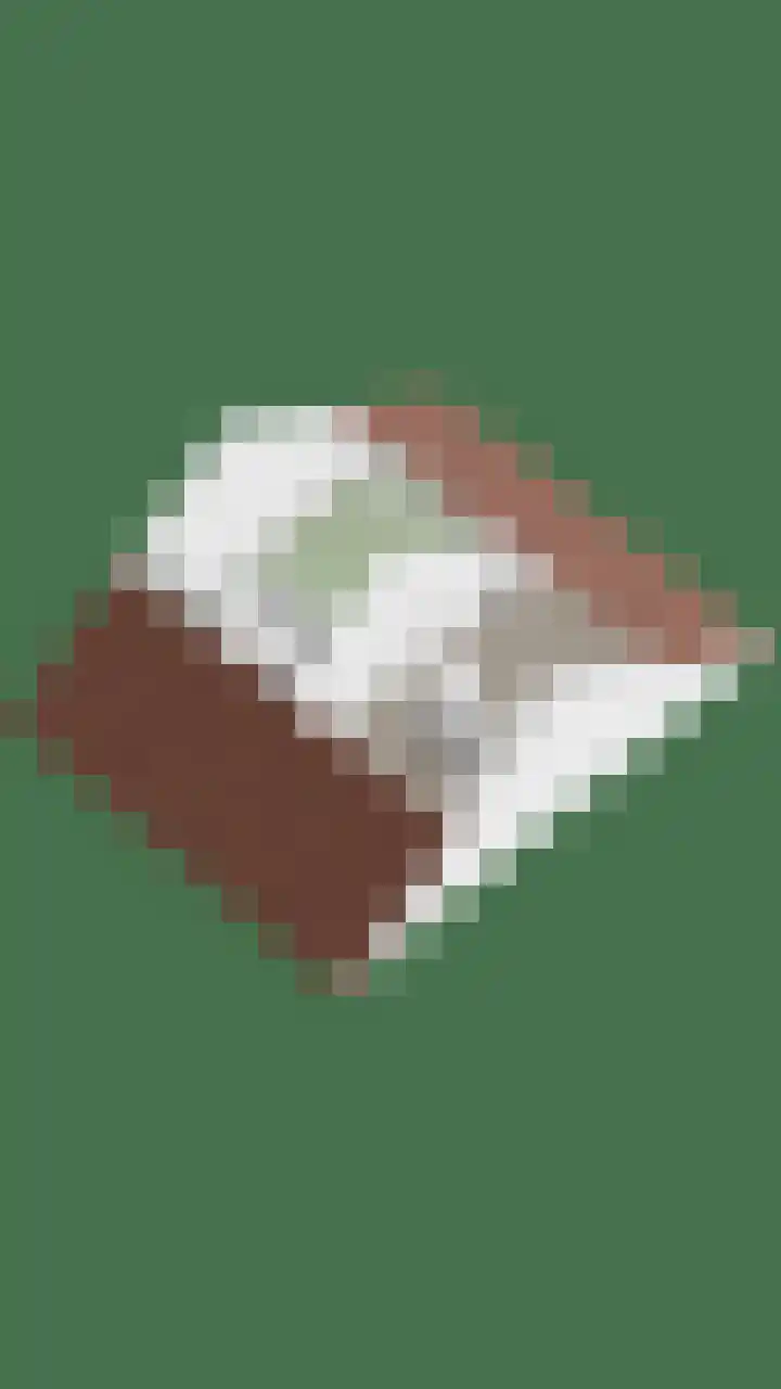't Zuden 24 Leek thumbnail 45