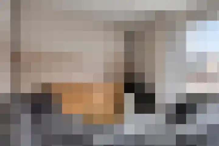't Zuden 24 Leek thumbnail 7