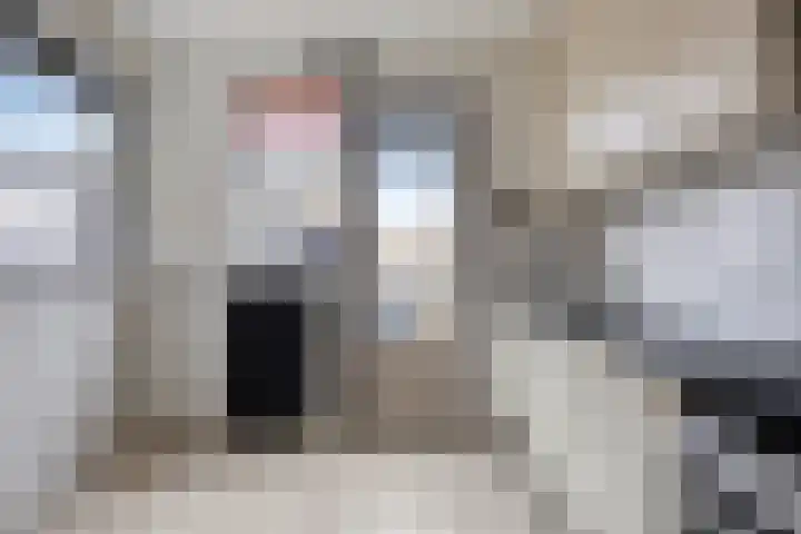 't Zuden 24 Leek thumbnail 9