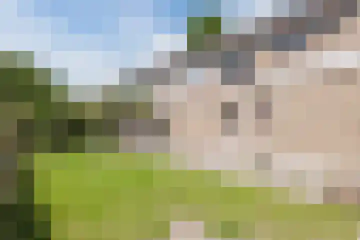 't Zuden 37 Leek thumbnail 11