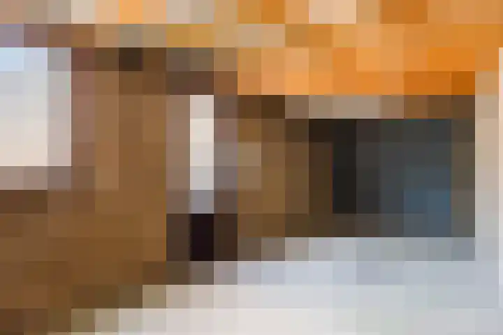 't Zuden 37 Leek thumbnail 12