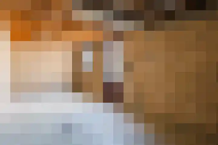 't Zuden 37 Leek thumbnail 13