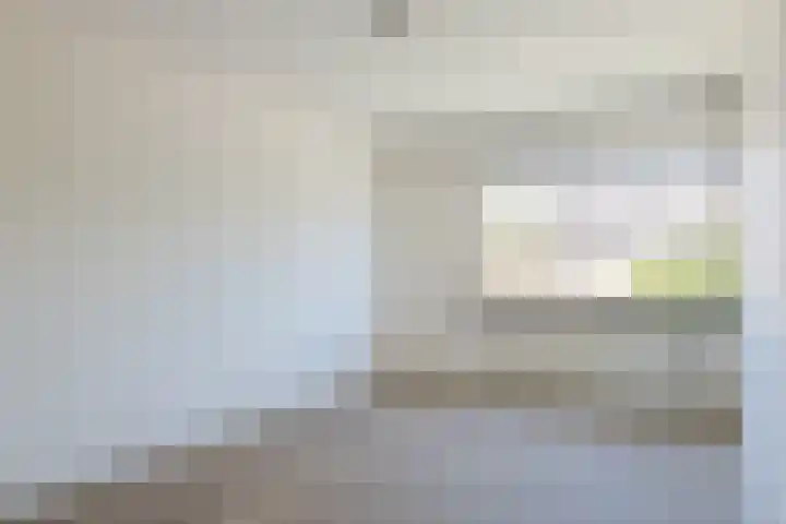 't Zuden 37 Leek thumbnail 16