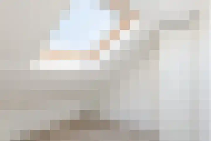 't Zuden 37 Leek thumbnail 24