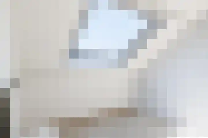 't Zuden 37 Leek thumbnail 26