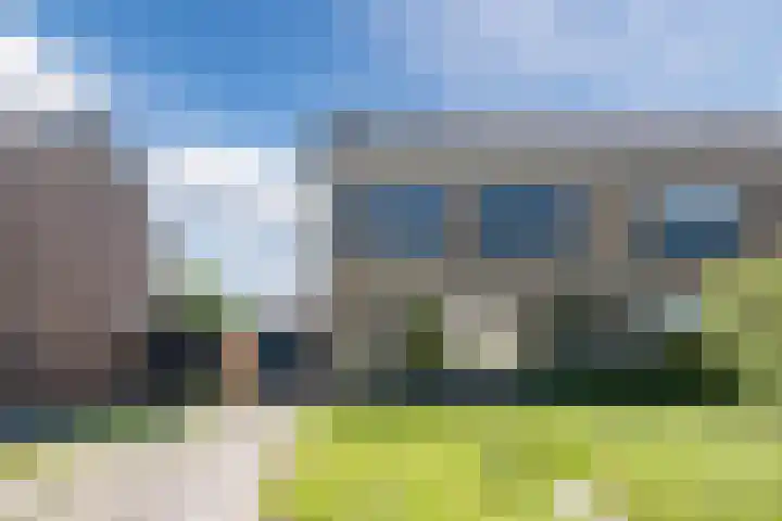 't Zuden 37 Leek thumbnail 28