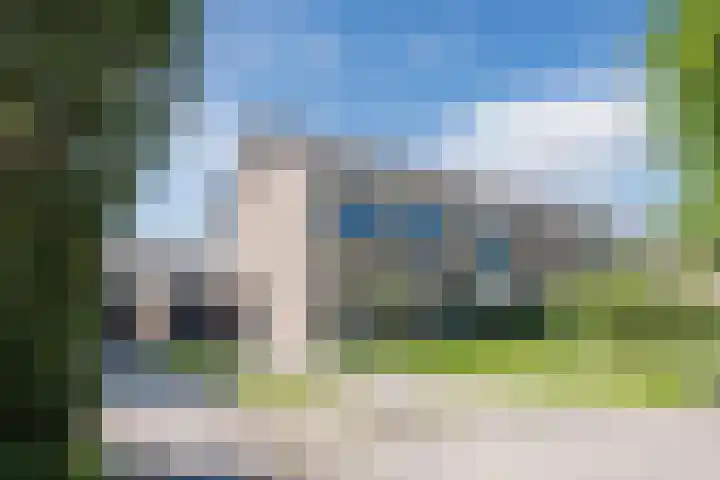 't Zuden 37 Leek thumbnail 33