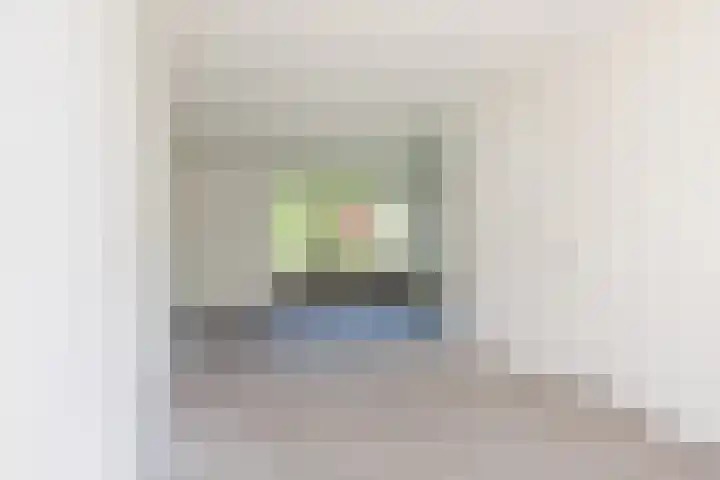 't Zuden 37 Leek thumbnail 5