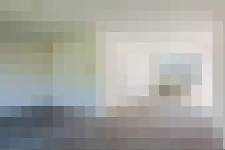 't Zuden 37 Leek thumbnail 6