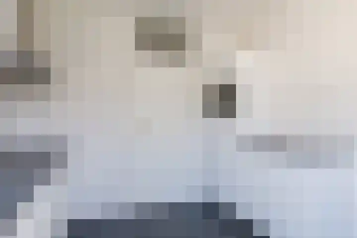 't Zuden 37 Leek thumbnail 8