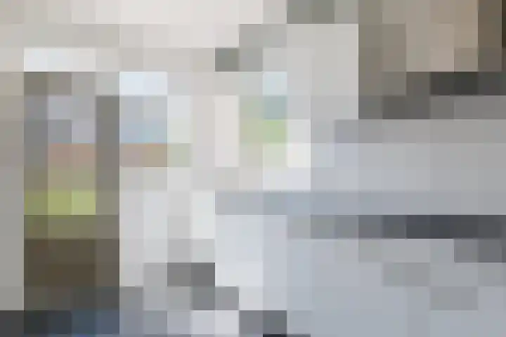 't Zuden 37 Leek thumbnail 9