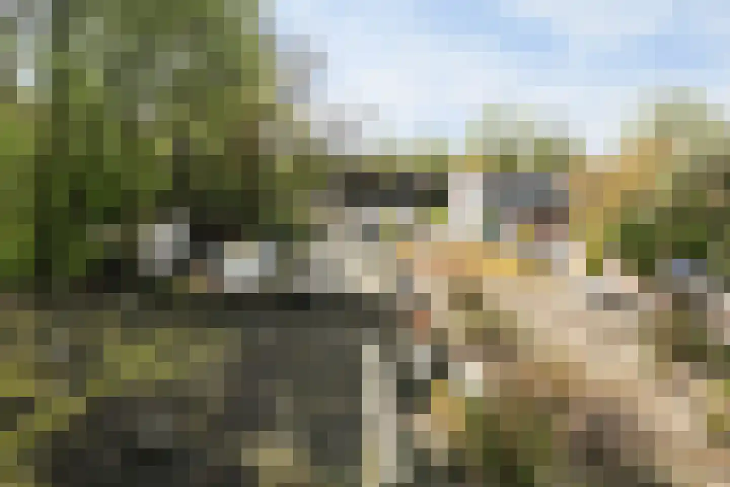 Taalstraat 115 Vught thumbnail 25