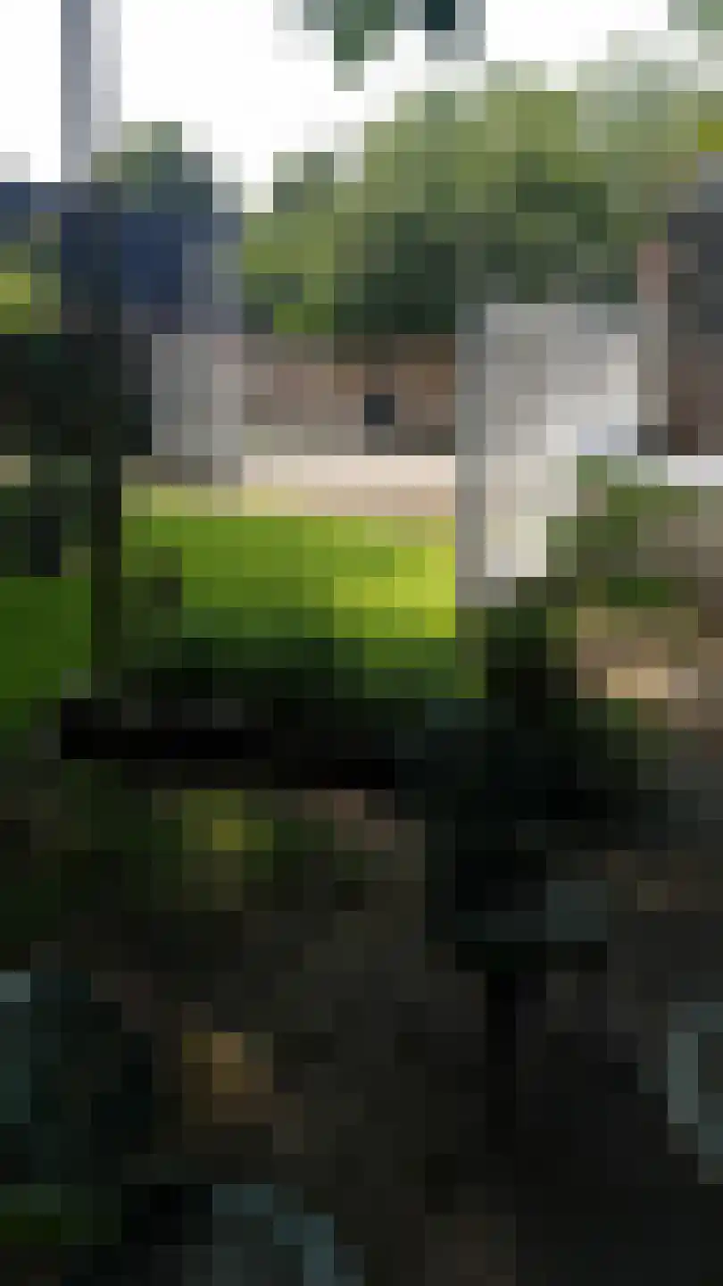 Taalstraat 115 Vught thumbnail 33