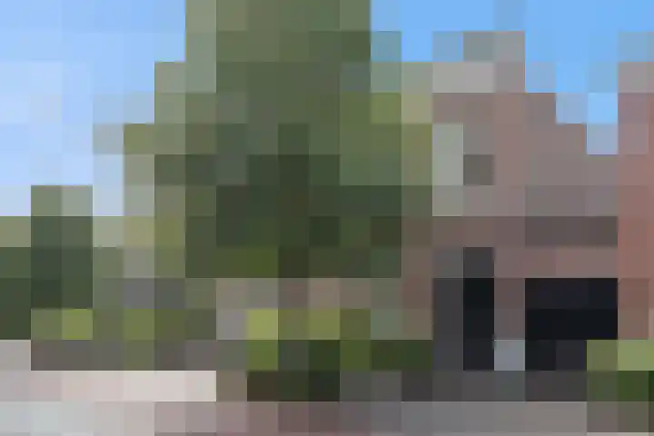 Taalstraat 29 Vught thumbnail 49