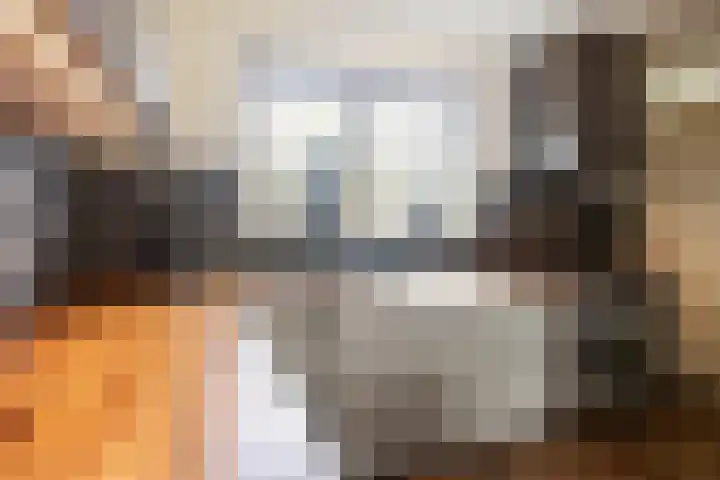Tabaksweg 51 Elst Ut thumbnail 10