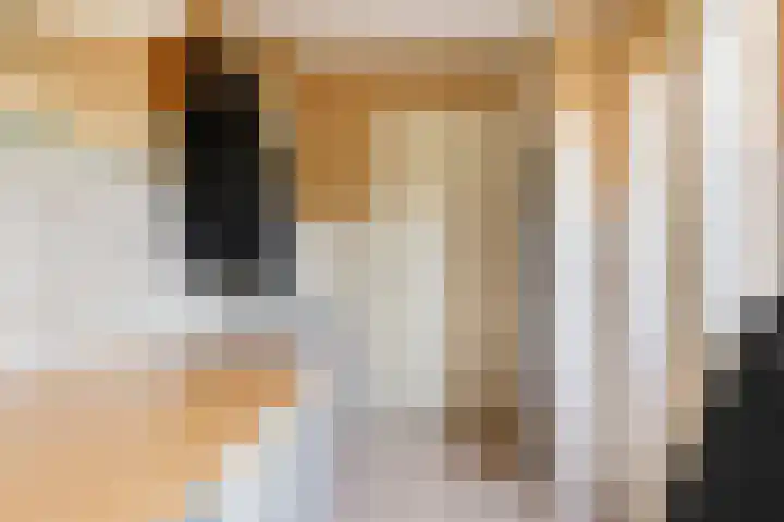 Tabaksweg 51 Elst Ut thumbnail 16