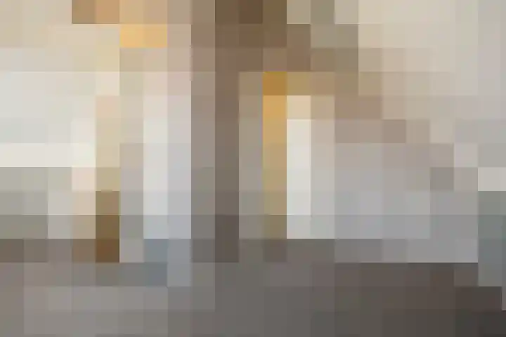 Tabaksweg 51 Elst Ut thumbnail 40