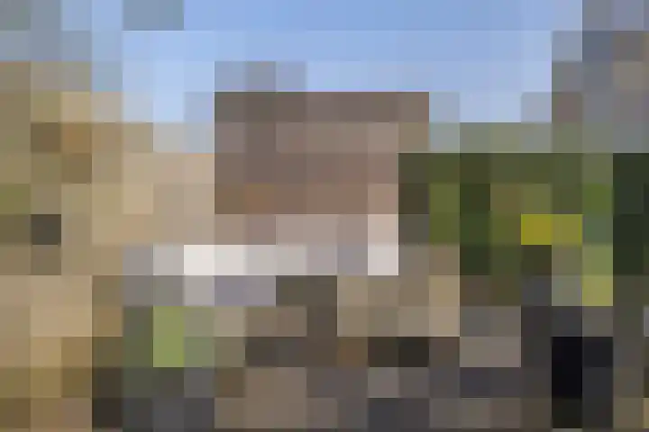 Tabaksweg 51 Elst Ut thumbnail 45