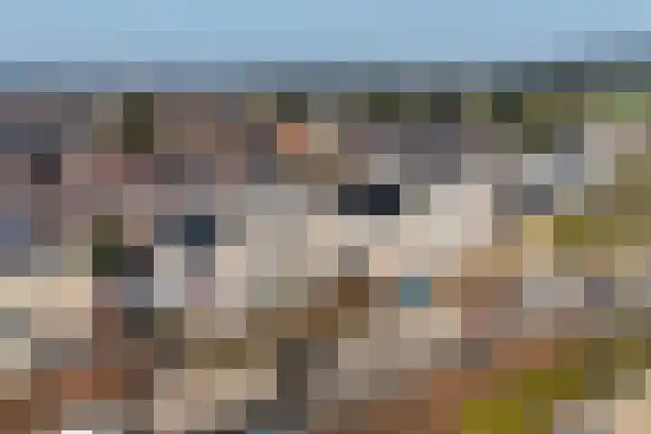 Tabaksweg 51 Elst Ut thumbnail 52